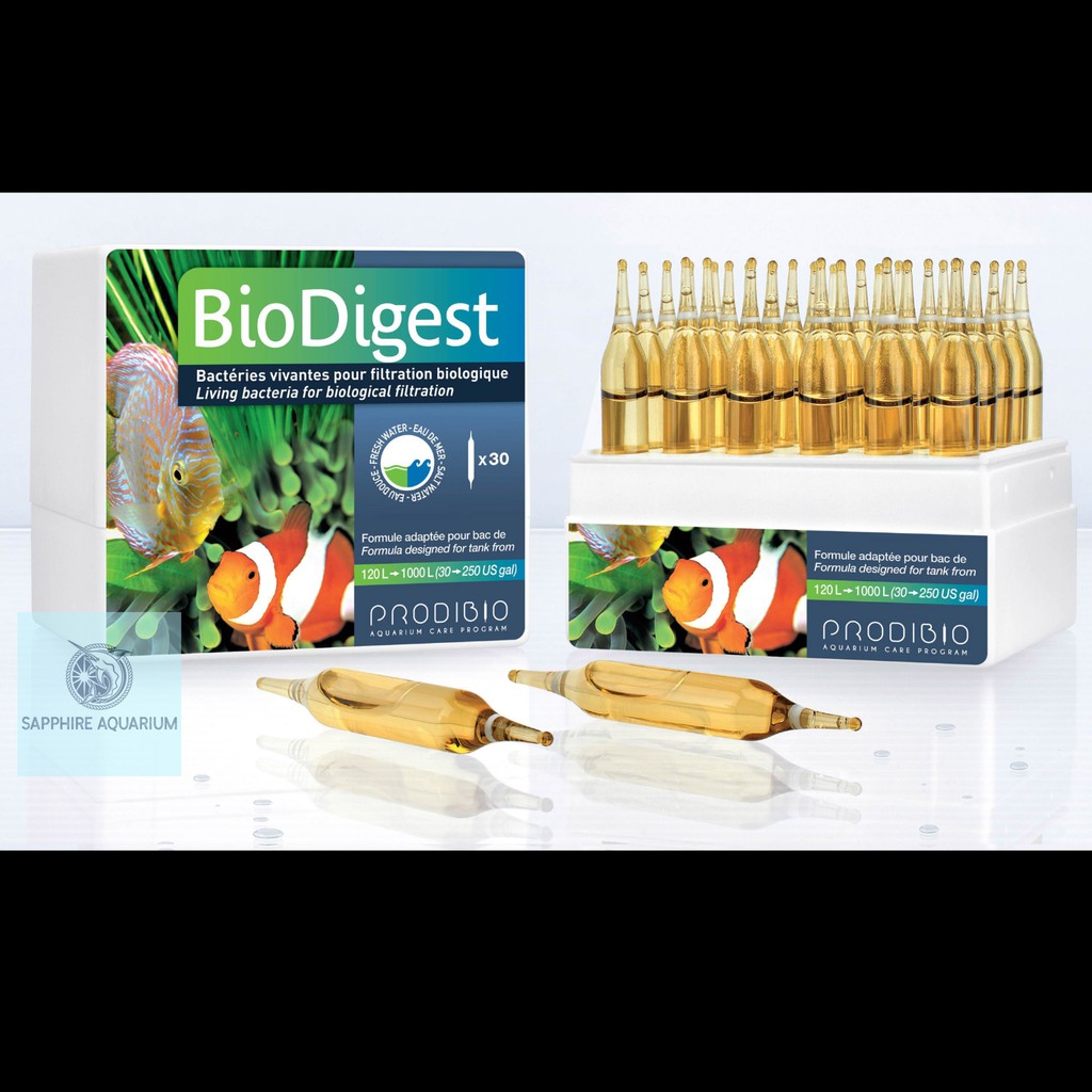Vi sinh PRODIBIO BioDigest (1 ống)