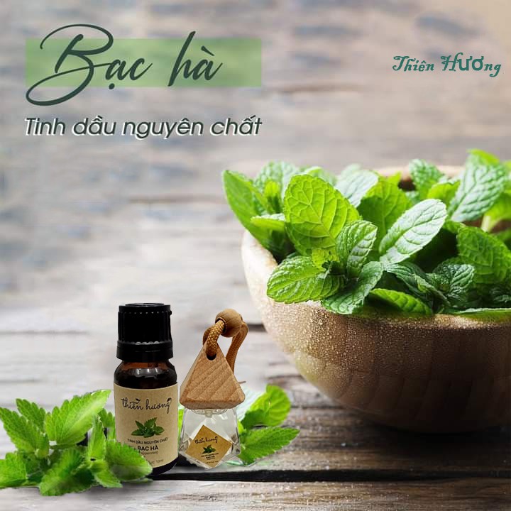 Tinh dầu Bạc Hà Thiên Hương nguyên chất có kiểm định chất lượng