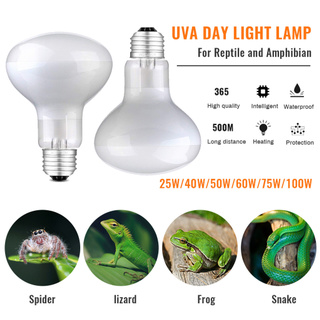 Bóng Đèn Sưởi 50/60/100W Tắm Nắng Cho Bò Sát Ánh Sáng Đèn Sưởi Nóng UVA Bóng Đèn Halogen - INTL-168