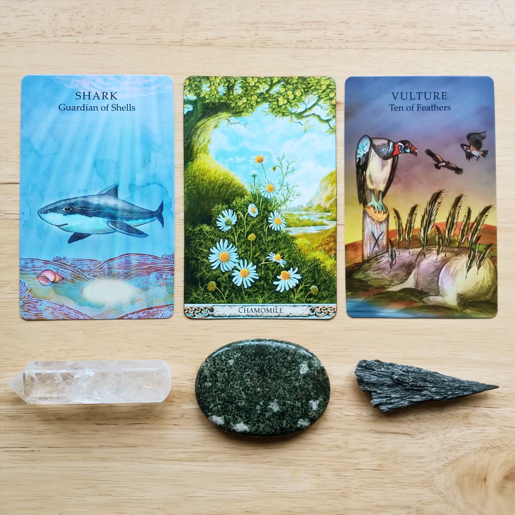 Bộ Bài Animal Wisdom Tarot (Mystic House Tarot Shop) - Bài Gốc Authentic Chính Hãng 100%