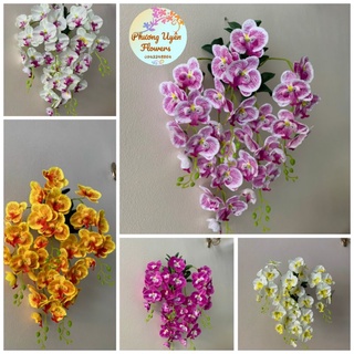 Giò Lan Hồ Điệp _ Hoa Giả Treo Tường