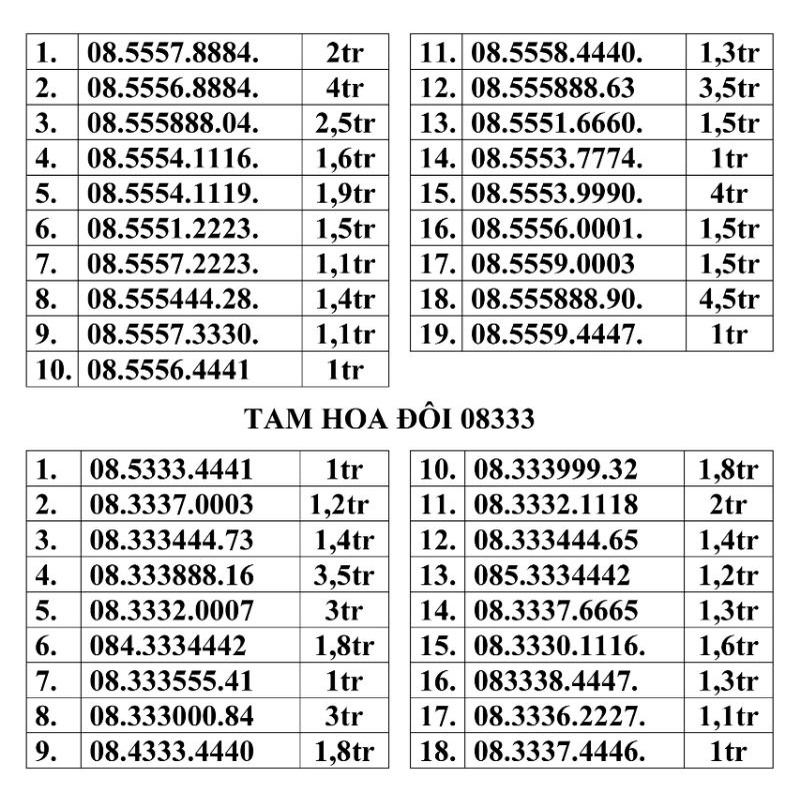 Sim tam hoa đôi 333 vina