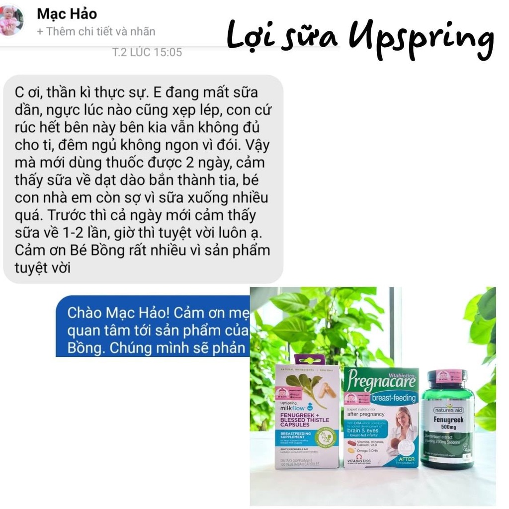 Lợi sữa Fenugreek Blessed Thistle Upspring Milkflow Mỹ 100 viên