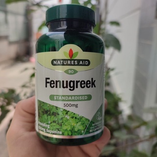 Date 2024-mẫu mới- Viên lợi sữa Cỏ Cari Fenugreek 500mg Anh 90 viên