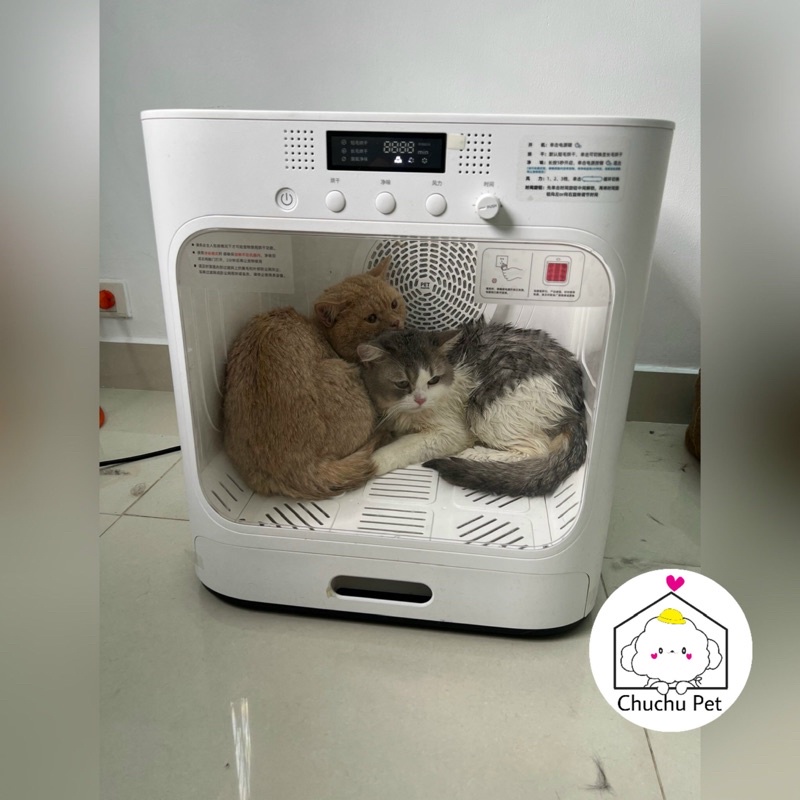 Lồng sấy máy sấy tự động thông minh cho chó mèo Pet Marvel Cao cấp-chuyên dụng cho spa thú cưng