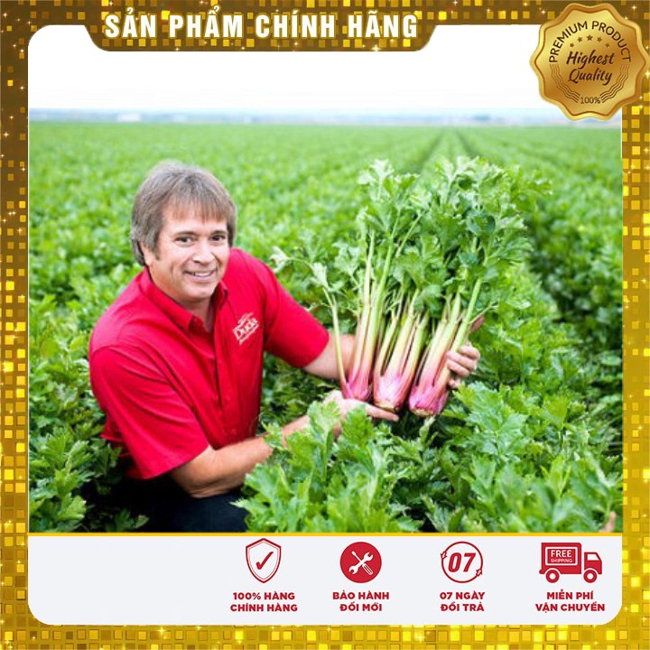 Hạt giống Cần Tây đỏ dinh dưỡng ( 2 Gram )