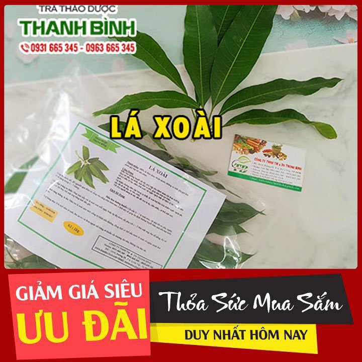 Lá Xoài 500g - Hàng Công Ty Thu Hái Cẩn Thận