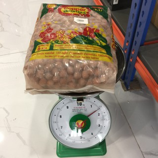 Đất nung Thái Popper  6 Lít (size XXL)