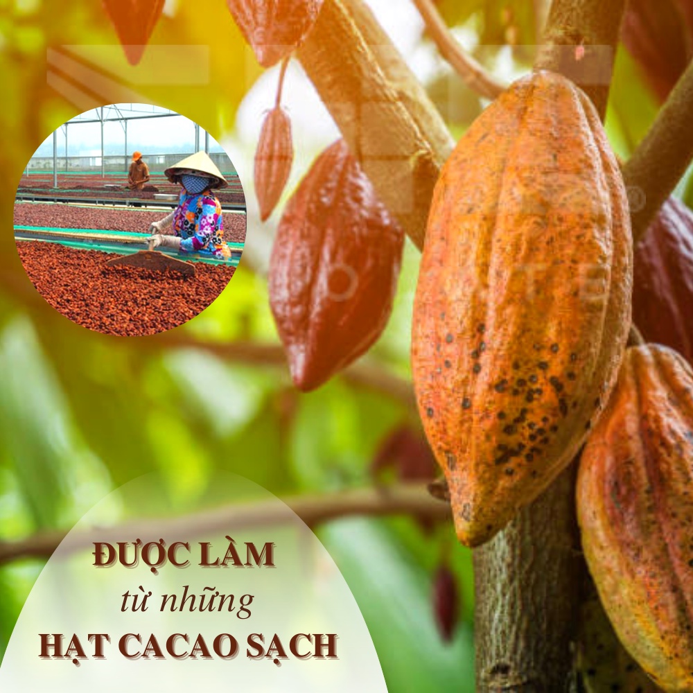 Socola Bột SHE Nguyên bản - Hũ 170g - SHE Chocolate - Pha chế đa dạng, tiện lợi. Quà tặng người thân, quà tặng sức khỏe