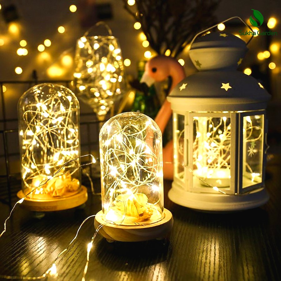 Dây đèn đom đóm FairyLight 3m trang trí cây thông Noel giáng sinh
