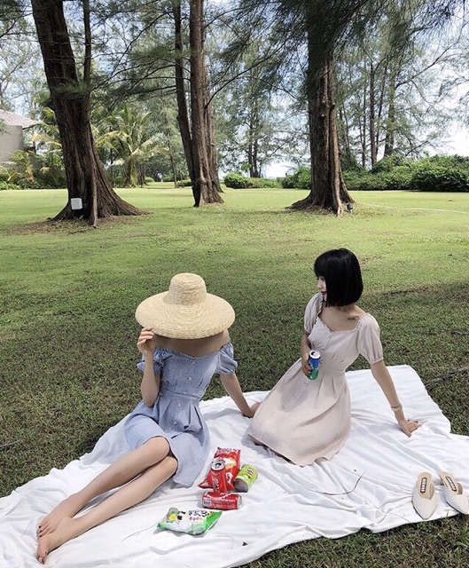 Đầm Caro Nhí Cổ Viền Bèo 2 màu xanh/vàng