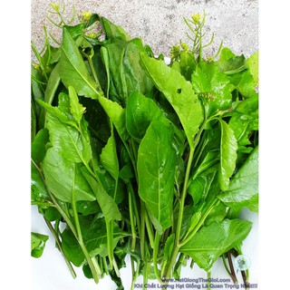 Cây Cải Trời Khô 1kg
