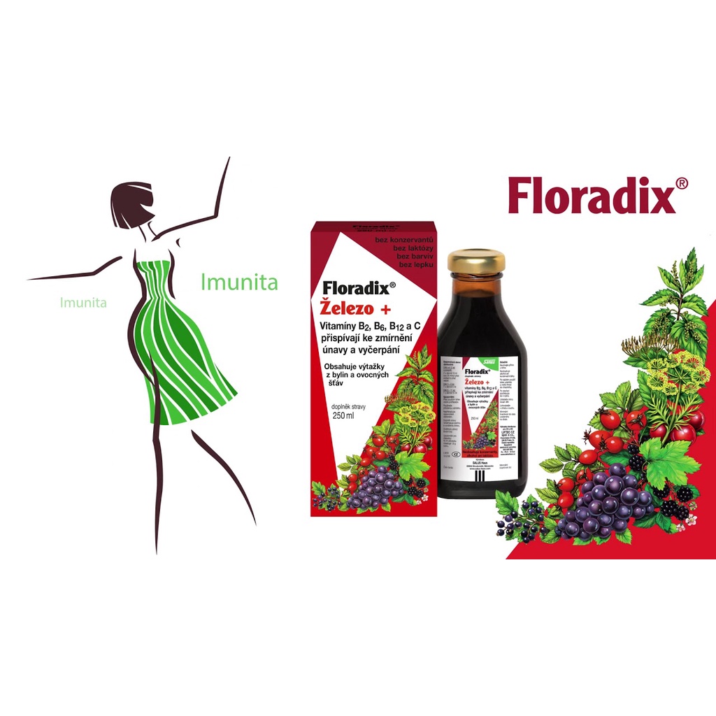 Canxi Hữu Cơ D3 Magiê Kẽm Floradix Salus 250ml - Hàng Chính Hãng