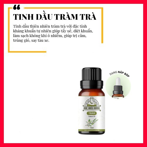 Tinh dầu tràm Mộc Nhiên Hương: kháng khuẩn, ngăn ngừa virus, nấm, giảm ho…