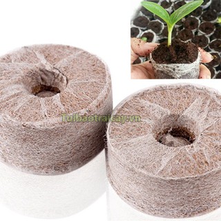 20 Viên nén xơ dừa ươm hạt - XD2
