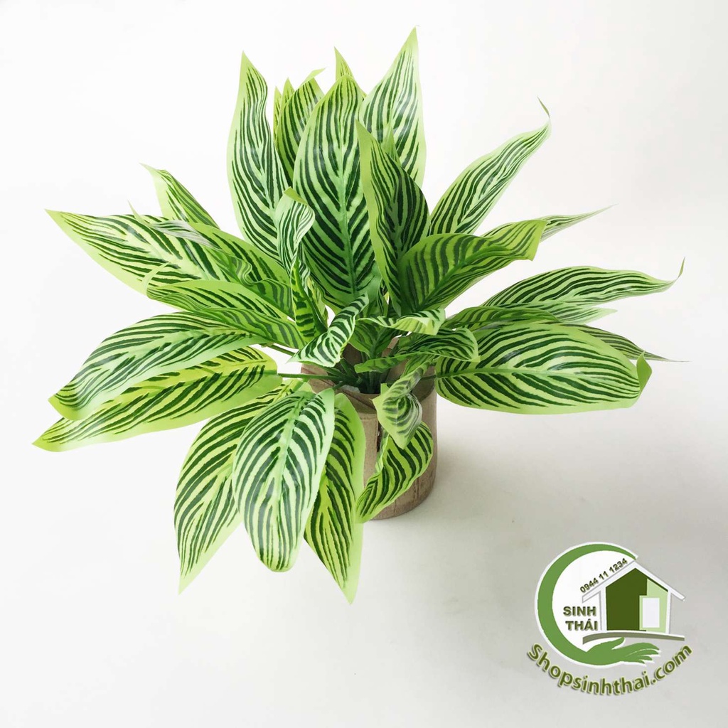 Bụi cây xanh đuôi công, cây giả lá xanh nhạt sọc xanh đậm
