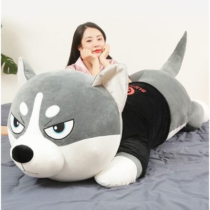 Gấu bông Chó husky, chó ngáo size 1M5 Gấu bông Chó mặc áo Siêu To Khổng Lồ - gối ôm chó Alaska vải nhung Hàn Quốc