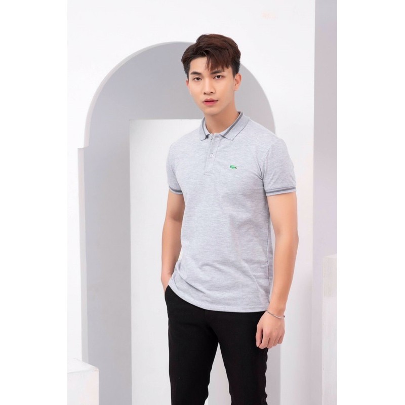 Áo phông nam PO-LO cá sấu 4 màu | BigBuy360 - bigbuy360.vn