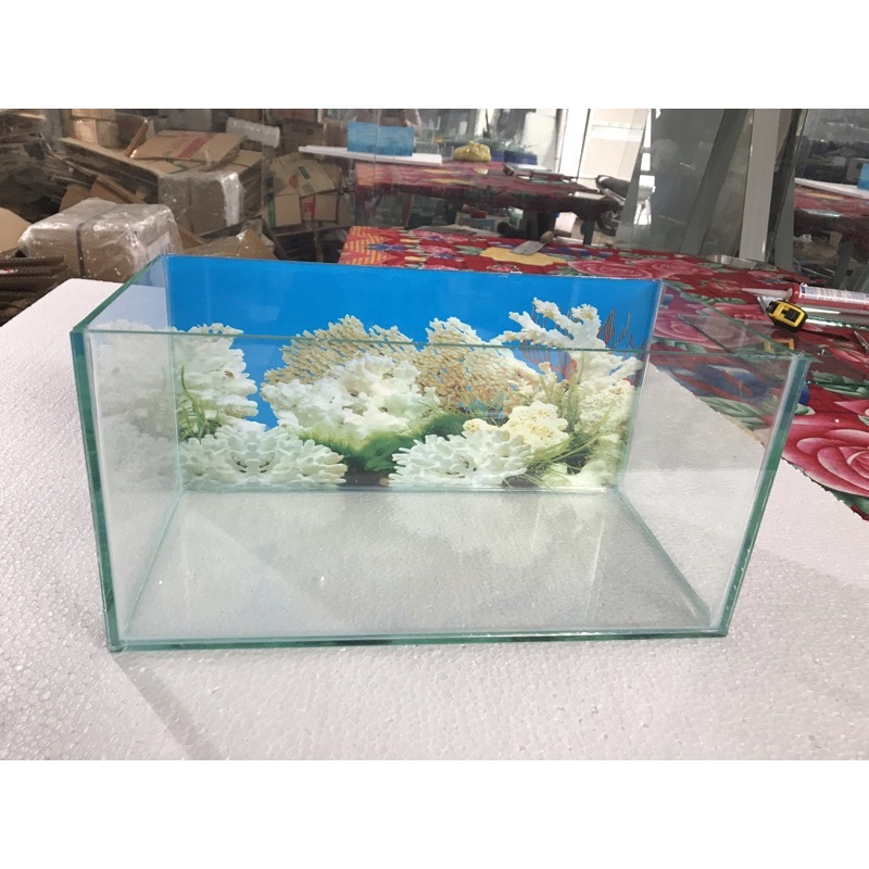 bể cá mini 40x20x20 tranh trang trí