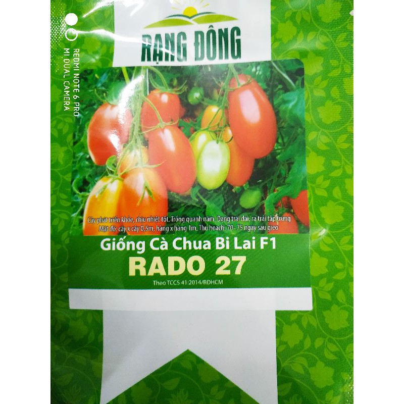 Hạt giống Cà chua bi lai 0.1gr❤️FREESHIP XTRA❤️