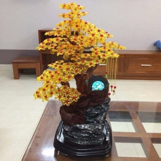 Cây kim tiền chất liệu hoa giả đá cực đẹp và sang chảng phù hợp với bạn nào yêu phong thuỷ