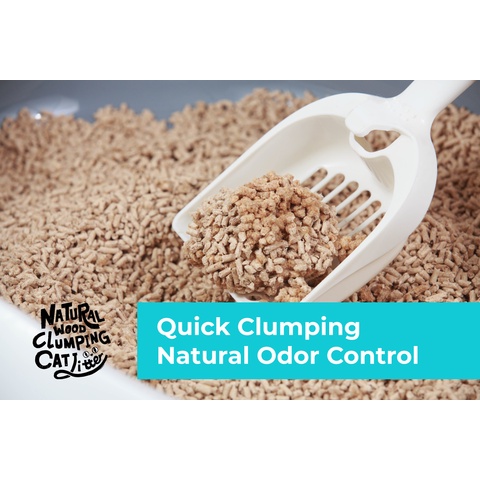 Cát vệ sinh Cature cho mèo Natural Wood cát gỗ &amp; Natural Tofu cát đậu nành hữu cơ cho mèo an toàn thân thiện môi trường