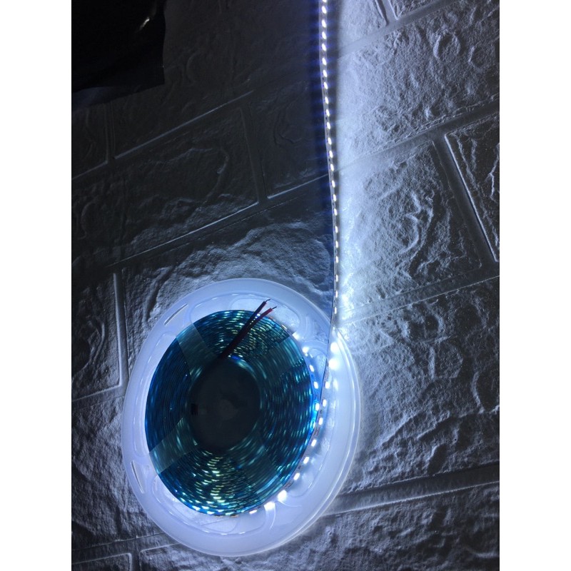 Led Dán 2835 5m điện 12V Trắng,Vàng,Trung Tính,Led Cuộn 2835 Led Dán 5m
