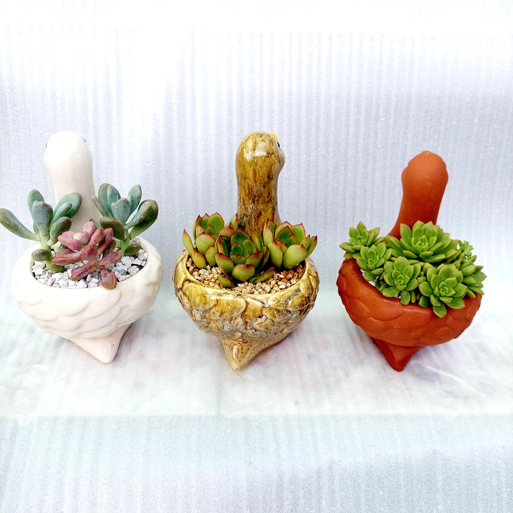 Chậu đất nung, Chậu sen đá - Vịt thiếu nhi, miệng chậu 8cm, chiều cao 9cm tới lưng, 20cm tới đầu
