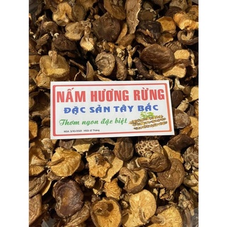 Nấm hương rừng tây bắc