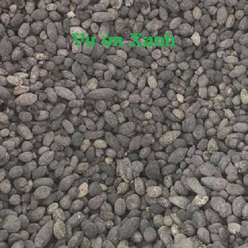 [SIEURE] Combo 10 Túi Phân Dê 10cm Đã Xử Lý, Phơi Khô, Đóng Túi Lưới hàng đẹp, phân phối chuyên nghiệp.