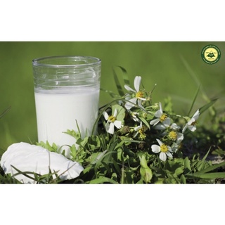 [1KG - loại1]  Bột Sắn Dây Nguyên Chất Kontum