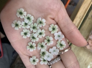 Hoa Sứ trang trí móng nail 9.000/1 bông
