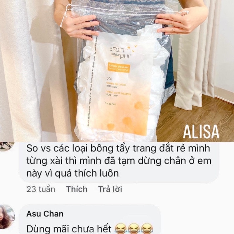 Bông tt khổng lồ Pháp-ALISA