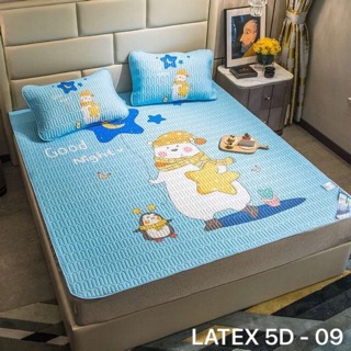 Chiếu điều hoà tencel LATEX mủ cao su non 5D 1m8x2m (đủ zezi)