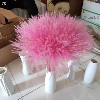 Bông lúa khô thiên nhiên