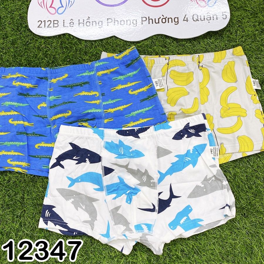 Set 3 quần chip đùi bé trai Bigbaby nhiều mẫu, thun cotton mềm thoải mái cho bé 16-38KG