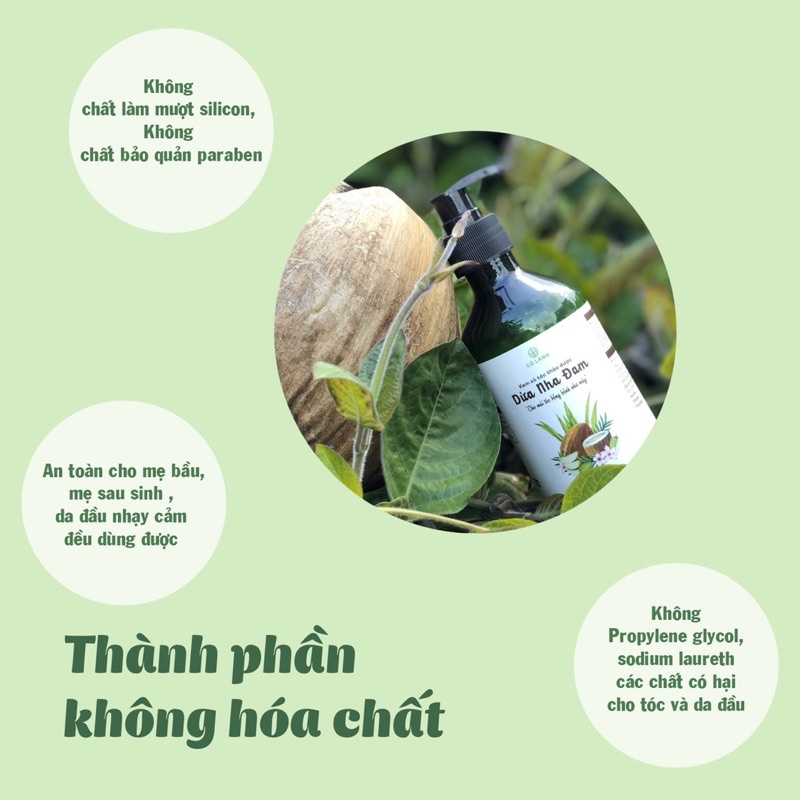 Dầu xả tóc thảo dược dừa nha đam Cỏ Lành 300ml - Dưỡng ẩm ,dưỡng tóc khoẻ không khô xơ, hỗ trợ giảm rụng tóc hiệu quả