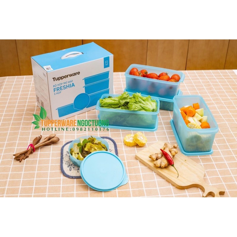 Tupperware - Bộ hộp trữ mát Freshia 5 hộp