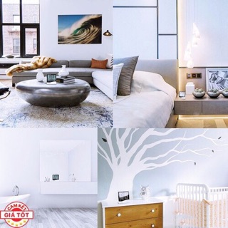 Máy đo nhiệt độ, độ ẩm trong phòng