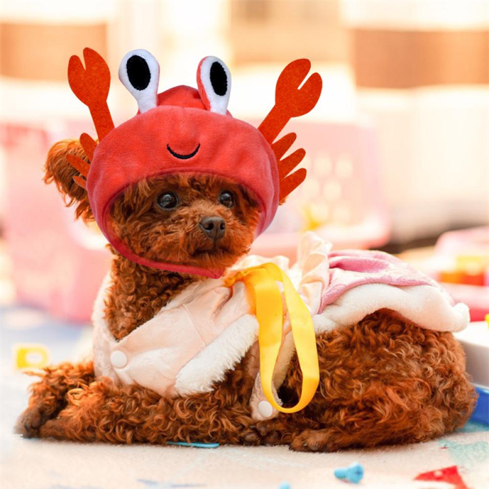 Timekey Mũ Hóa Trang Chú Cua / Ếch / Cua Ngộ Nghĩnh Cho Thú Cưng U9Y3