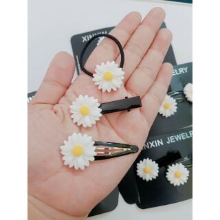Set 3 kẹp và 1 cột tóc cúc họa mi