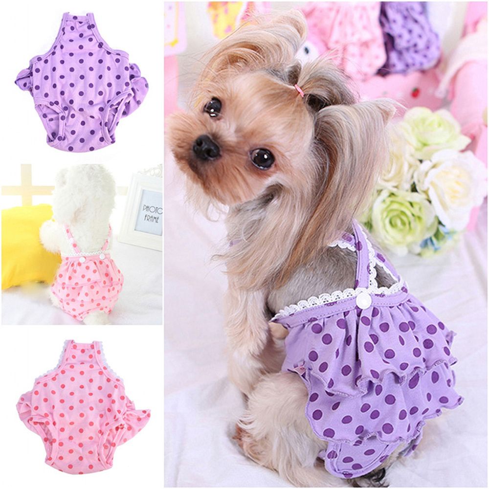 Quần lót sinh lý bằng cotton tùy chỉnh nhiều màu dành cho chó cưng