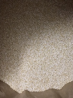 Hạt Quinoa (diêm mạch trắng) hữu cơ Mỹ 500g