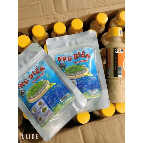 [HÀNG CHÍNH HÃNG] COMBO Rong nho Betonamu 100gr + Chai xốt mè rang Fuji 180ml [siêu rẻ] | BigBuy360 - bigbuy360.vn