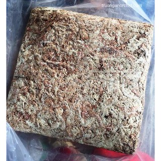 100GR DỚN TRẮNG CHILE - 1 BAO