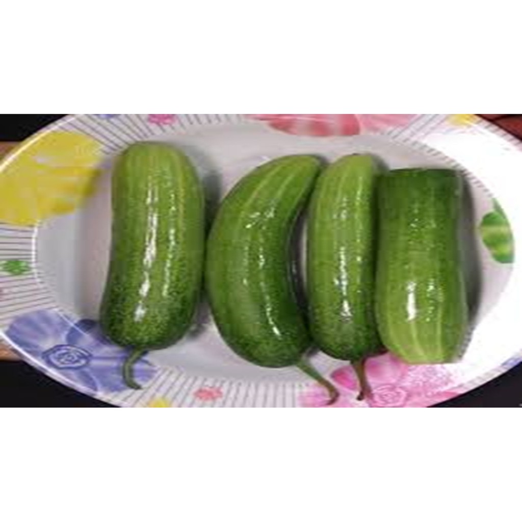 dưa leo, dưa chuột sạch rẻ 25k [500gr] dưa leo