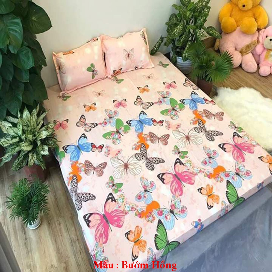 Bộ Ga gối Cotton Poly Emmidecor Các  Mẫu  Siêu hot