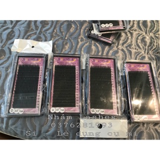 Mi starr lash đặt hàng ib shop sz số độ cong