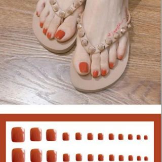 Bộ 24 móng chân giả cam trơn kèm keo