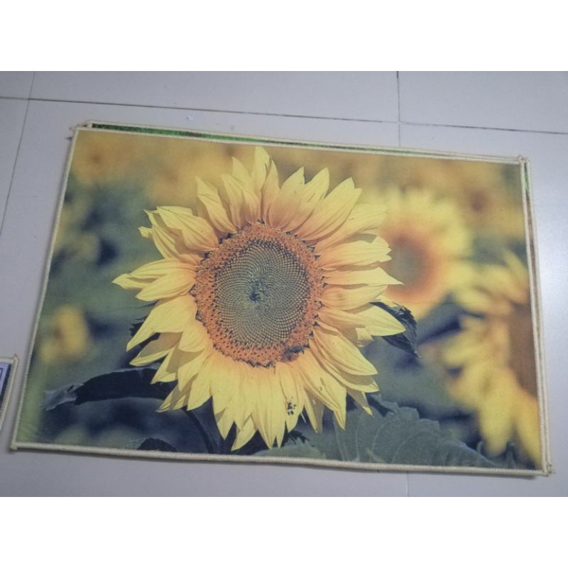 Thảm nỉ 3D siêu hót 40x60 cm